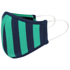 Upcycled Adult Face Covering - Green Stripe